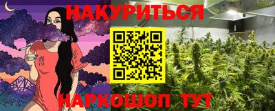 молекула духа Новозыбков